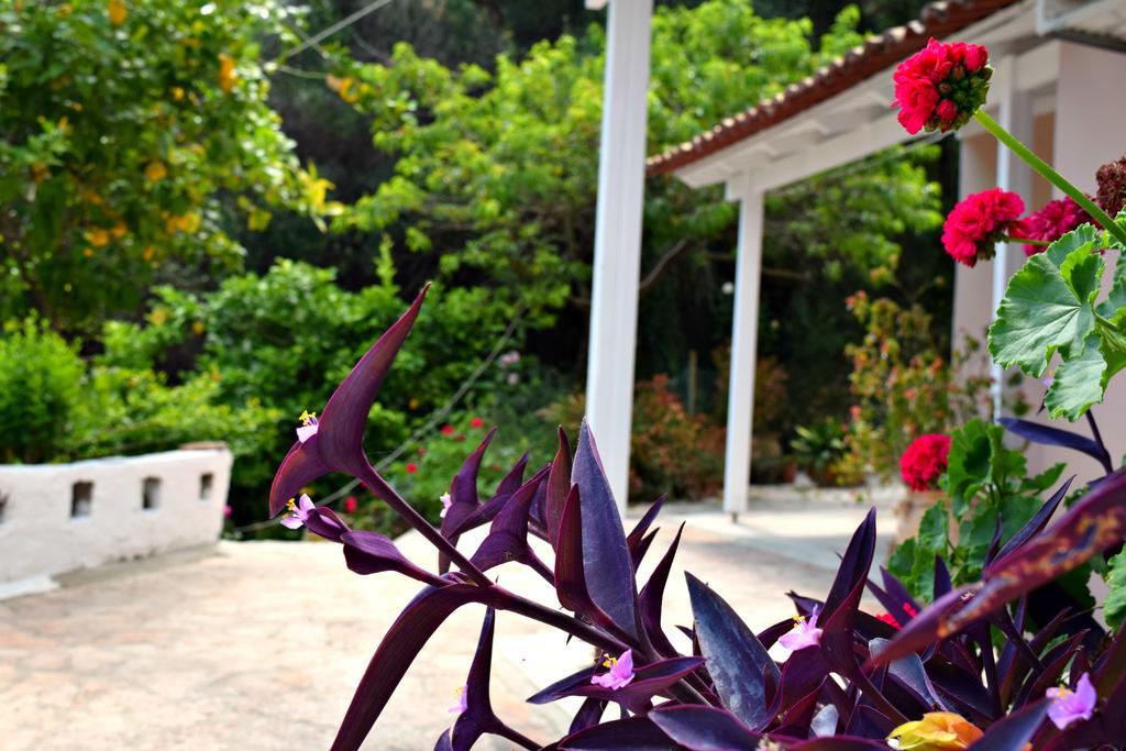 Eden Sea View Studios Mesongí Dış mekan fotoğraf