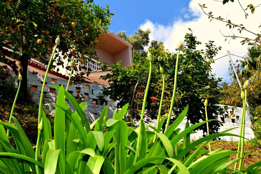 Eden Sea View Studios Mesongí Dış mekan fotoğraf