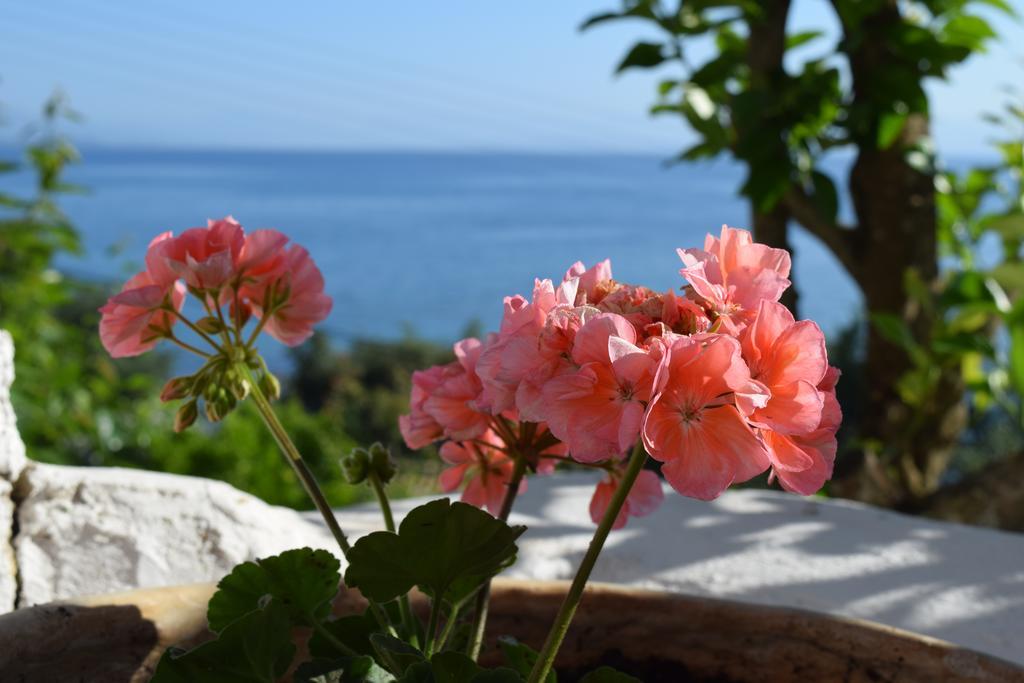 Eden Sea View Studios Mesongí Dış mekan fotoğraf